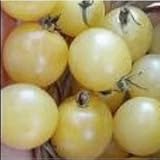 SNOW WHITE CHERRY TOMATO 20 seeds