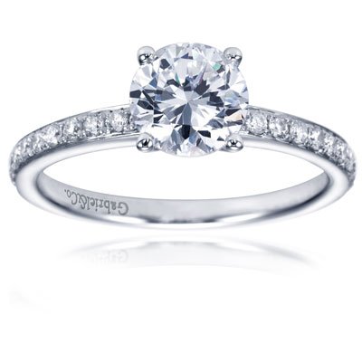 14K White Gold Round Cut Diamond Contemporary Straight Engagement Ring - Does not Include The Center Diamond