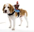 Paper Magic Group Dog Riders Monkey Costume,One Size Fits Most