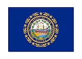 New Hampshire State Flag Fridge Magnet