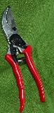 Garden Shears Tool 41bNl163oZL. SL160 Garden Shears Tool