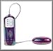 Candies 2 Inch Multi-Speed Waterproof Vibrating Egg Massager With Remote - Purple