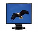 NEC MultiSync LCD195NXM-BK 19 inch 1000:1 5ms DVI Height-adjustable LCD Monitor (Black), with Speakers and USB Hub