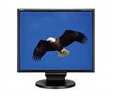 NEC MultiSync LCD195NXM-BK 19 inch 1000:1 5ms DVI Height-adjustable LCD Monitor (Black), with Speakers and USB Hub