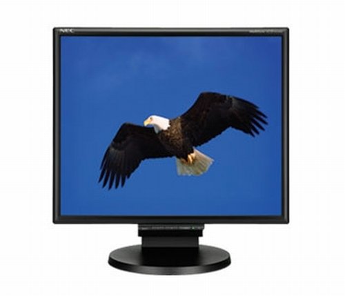 Image for product NEC:LCD195NXM-BK-R