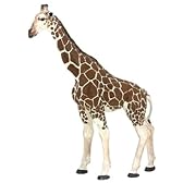 Giraffe　（キリン）