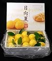ハウス日向夏小核系１０玉化粧箱入