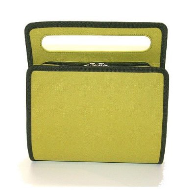 Kindle 2 Carrying Hands Free Case Bag Pouch (WASABI green color)