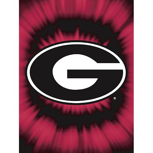 Georgia Bulldogs NCAA Royal Plush Raschel Blanket (800 Series) (60x80