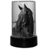 Blue Deco Horse Insect Trap Lamp