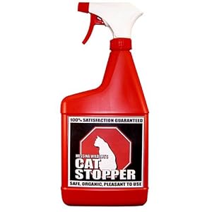 Cat Stopper by 