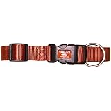 Hamilton Hamilton 1-Inch Adjustable Dog Collar, Large, Fits 18-Inch to 26-Inch with Brushed Hardware Ring, Red Brick, Red Brick