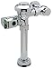 Zurn ZR6000AV-WS1-DF-YO Flush Valve, Silver