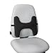 Kensington Lumbar Back Rest (K62823US)