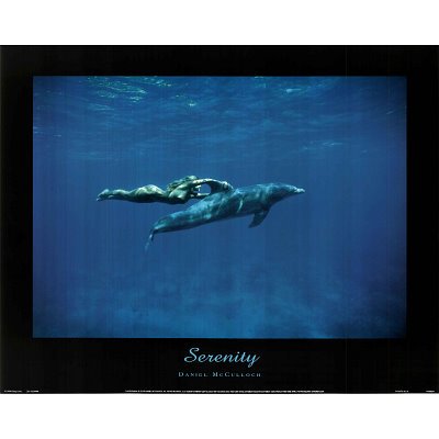 Dolphin Swim w/ nude Woman Serenity Poster motivational - 16x20 custom fit with RichAndFramous Black 20 inch Poster Hangers