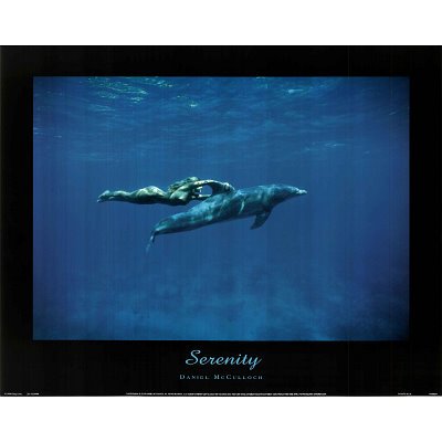 Dolphin Swim w/ nude Woman Serenity Poster motivational - 16x20 custom fit with RichAndFramous Black 20 inch Poster Hangers