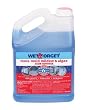 Wet And Forget - Gallon