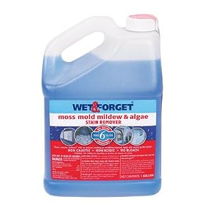Wet and Forget 10587 1 Gallon Moss, Mold and Mildew Stain Remover