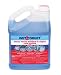 Wet and Forget 10587 1 Gallon Moss, Mold and Mildew Stain Remover