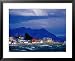 Shore of Seno Ultima Esperanza (Last Hope Sound), Patagonia, Puerto Natales, Chile Styles Framed Art Poster Print by Richard I'Anson, 31x25