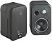 JBL Control 1 Xtreme Lautsprecher-Paar silber