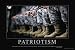Patriotism Subject Poster Print, 36x24