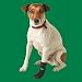 Karlie 75791 Pfotenschutz-Schuh