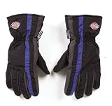 FORTRESS PRODUCTS INC D06BBLU-L DICKIES WINTER GLOVE