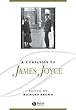 A Companion to James Joyce (Blackwell Companions to Literature and Culture)