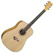 Dean Tradition Acoustic Guitar, Exotic Quilted Ash