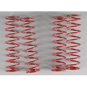 Red Springs, Firm (4): MGT from Associated Electric Car Kits