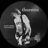 Trees Outside The Academy: Picture Disk
