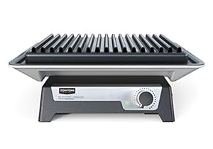 electric hibachi griddle