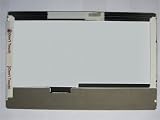 TOSHIBA MINI NB505 SP0163M LAPTOP LCD SCREEN 10.1 WSVGA LED DIODE (SUBSTITUTE REPLACEMENT LCD SCREEN ONLY. NOT A LAPTOP ) 41bPhlDVtJL. SL160 TOSHIBA MINI NB505 SP0163M LAPTOP LCD SCREEN 10.1 WSVGA LED DIODE (SUBSTITUTE REPLACEMENT LCD SCREEN ONLY. NOT A LAPTOP )