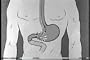 Movies For Teaching Anatomy & Physiology: 11-DVD Collection: Old Health & The Human Body Anatomy Pictures Films (1920s - 1960s)
