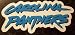 Carolina Panthers Team Name NFL Car Magnet