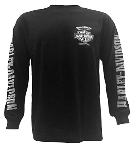 Harley-Davidson Men's Skull Lightning Crest Graphic Long Sleeve Shirt, Black