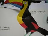 Who Sees You In Jungl (Little Pop-and-Peek Book)