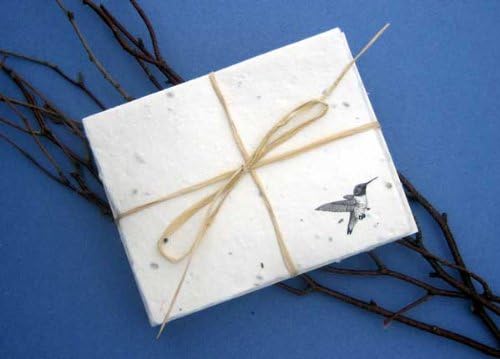 Blossoming Note Cards - Hummingbird Print with Planting Instructions (1 pk - 10 cards)