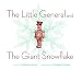 Search : The Little General and the Giant Snowflake