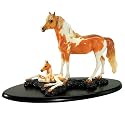 Chincoteague by Kitty Cantrell & Caroline Boydston