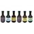 Fischer & Wieser The Ultimate Sauce Gift Pack, 19 to 21-Ounce Bottles (Pack of 6)