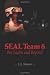 Seal Team 6, Bin Laden and Beyond