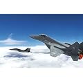 MIG 29 fliegen