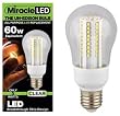 MiracleLED 605051 UnEdison LED Light Bulb MiracleLED 605051 UnEdison LED Light Bulb
