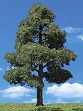 Classic Trees, Sun Kissed 7-8" (2)