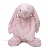 Knowing God: Walking through the Book of Books