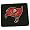 Tampa Bay Bucaneers
