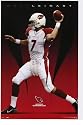 Arizona Cardinals (Matt Leinart) Sports Poster Print - 24" X 36"