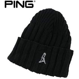 Ping Logo Guy